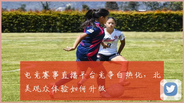 电竞赛事直播平台竞争白热化,北美观众体验如何升级